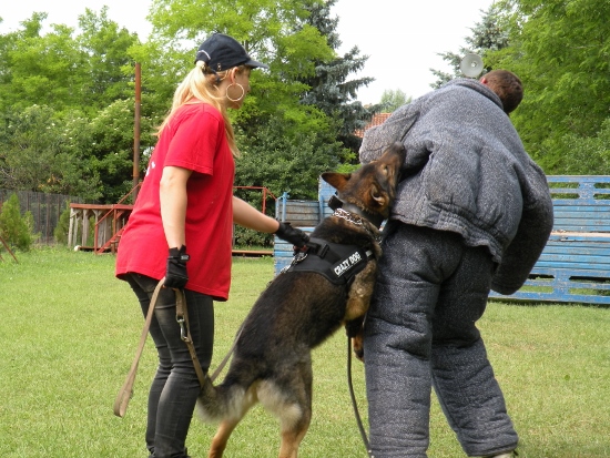 PERSONAL PROTECTION DOG